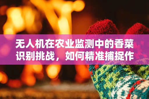 无人机在农业监测中的香菜识别挑战，如何精准捕捉作物生长的微妙细节？