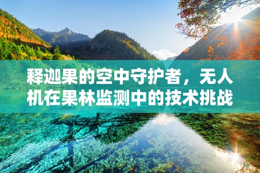 释迦果的空中守护者，无人机在果林监测中的技术挑战与解决方案