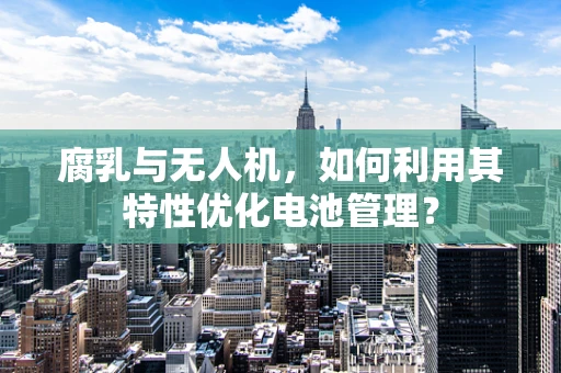 腐乳与无人机，如何利用其特性优化电池管理？