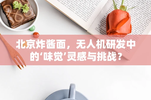 北京炸酱面，无人机研发中的‘味觉’灵感与挑战？