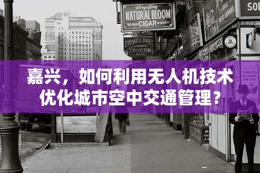 嘉兴，如何利用无人机技术优化城市空中交通管理？
