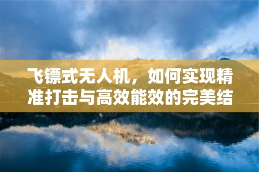 飞镖式无人机，如何实现精准打击与高效能效的完美结合？