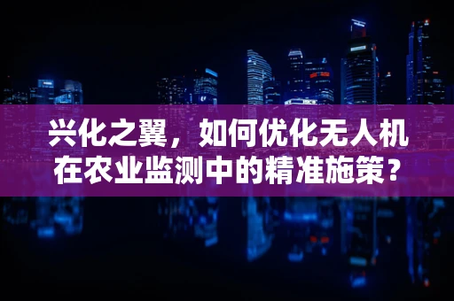 兴化之翼，如何优化无人机在农业监测中的精准施策？