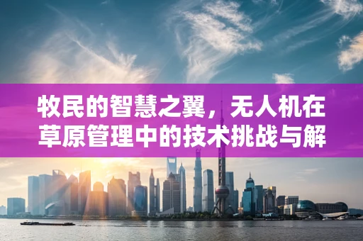 牧民的智慧之翼，无人机在草原管理中的技术挑战与解决方案