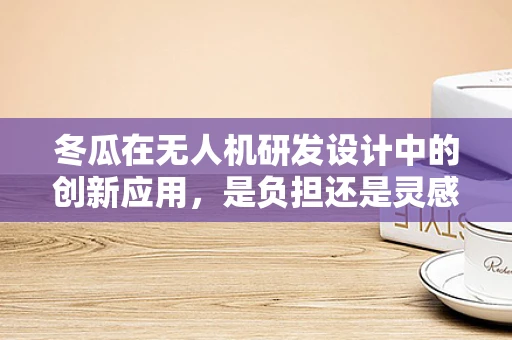 冬瓜在无人机研发设计中的创新应用，是负担还是灵感源泉？