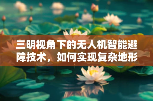三明视角下的无人机智能避障技术，如何实现复杂地形下的安全飞行？