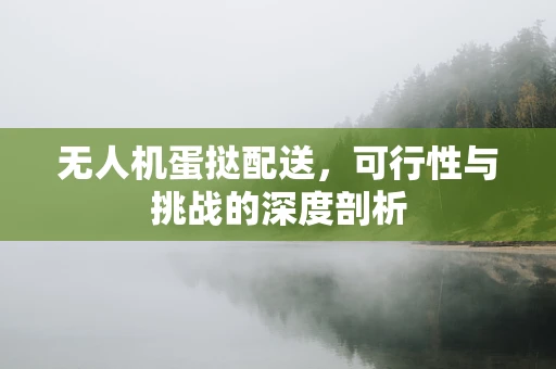 无人机蛋挞配送，可行性与挑战的深度剖析