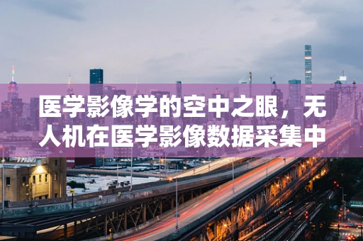 医学影像学的空中之眼，无人机在医学影像数据采集中的应用挑战