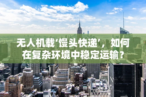 无人机载‘馒头快递’，如何在复杂环境中稳定运输？