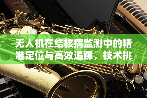 无人机在结核病监测中的精准定位与高效追踪，技术挑战与解决方案