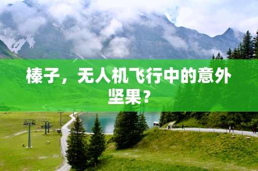 榛子，无人机飞行中的意外坚果？