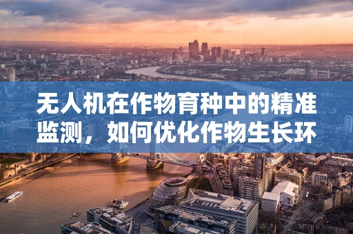 无人机在作物育种中的精准监测，如何优化作物生长环境以提升育种效率？