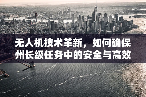 无人机技术革新，如何确保州长级任务中的安全与高效？