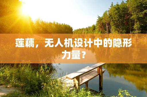 莲藕，无人机设计中的隐形力量？