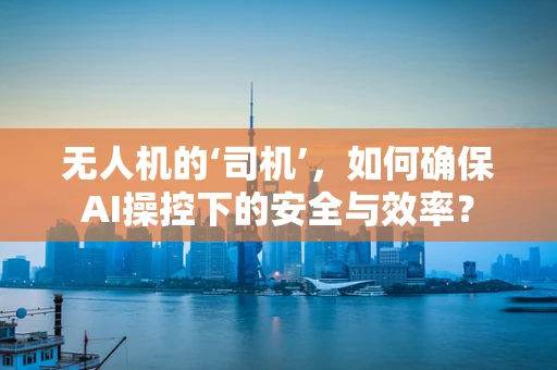 无人机的‘司机’，如何确保AI操控下的安全与效率？