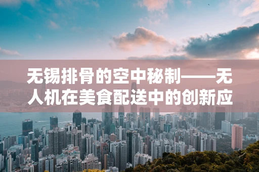 无锡排骨的空中秘制——无人机在美食配送中的创新应用？