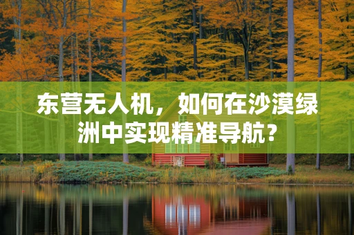 东营无人机，如何在沙漠绿洲中实现精准导航？