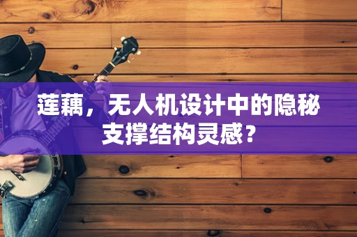 莲藕，无人机设计中的隐秘支撑结构灵感？
