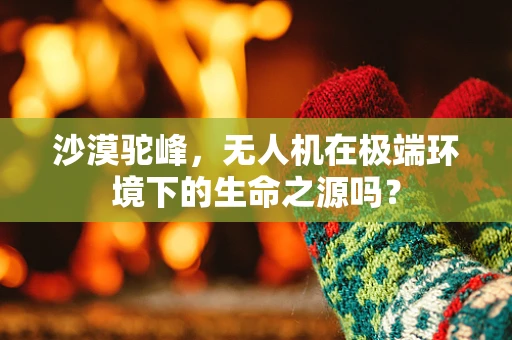 沙漠驼峰，无人机在极端环境下的生命之源吗？
