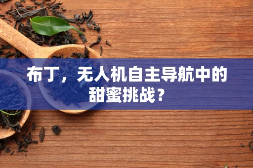 布丁，无人机自主导航中的甜蜜挑战？