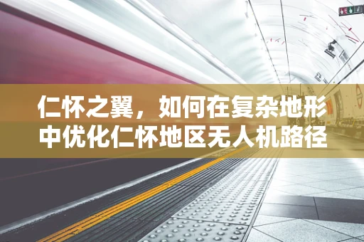 仁怀之翼，如何在复杂地形中优化仁怀地区无人机路径规划？