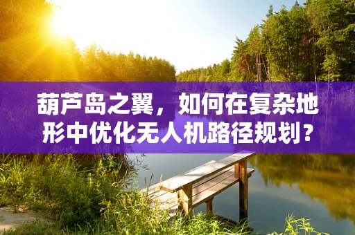 葫芦岛之翼，如何在复杂地形中优化无人机路径规划？