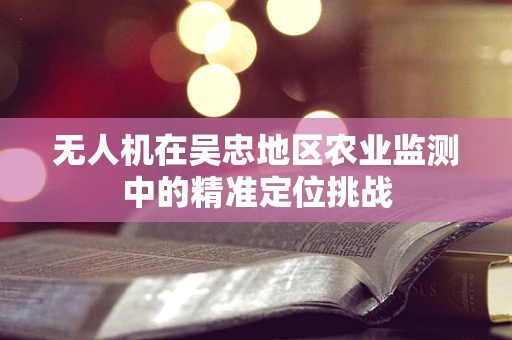 无人机在吴忠地区农业监测中的精准定位挑战
