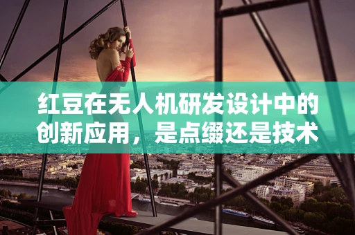 红豆在无人机研发设计中的创新应用，是点缀还是技术革新？