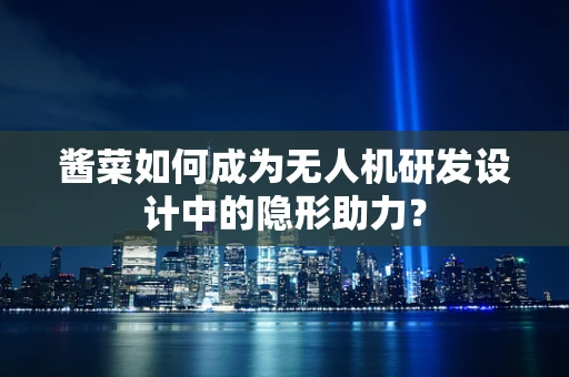 酱菜如何成为无人机研发设计中的隐形助力？