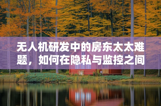 无人机研发中的房东太太难题，如何在隐私与监控之间找到平衡？