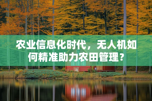 农业信息化时代，无人机如何精准助力农田管理？