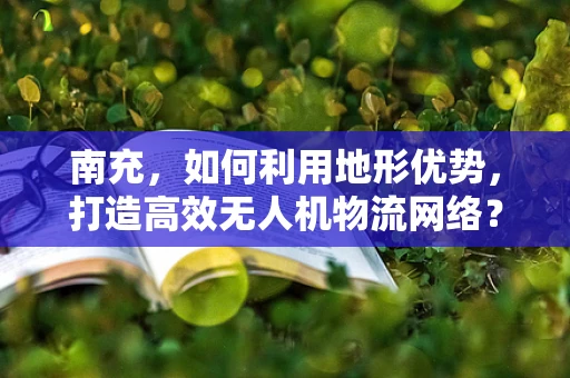 南充，如何利用地形优势，打造高效无人机物流网络？