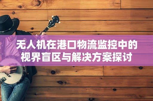 无人机在港口物流监控中的视界盲区与解决方案探讨