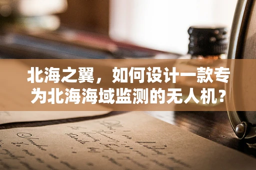 北海之翼，如何设计一款专为北海海域监测的无人机？