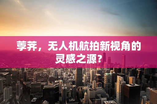 荸荠，无人机航拍新视角的灵感之源？