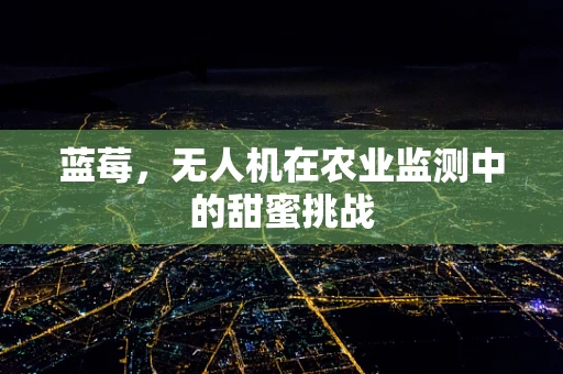 蓝莓，无人机在农业监测中的甜蜜挑战