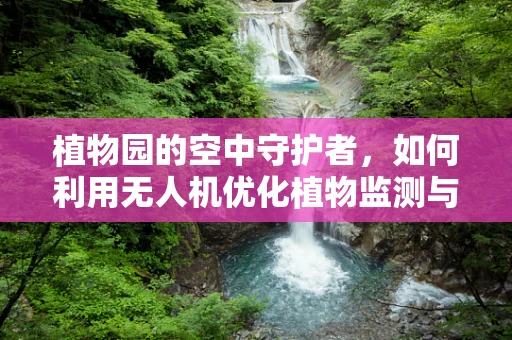 植物园的空中守护者，如何利用无人机优化植物监测与保护？