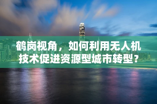 鹤岗视角，如何利用无人机技术促进资源型城市转型？