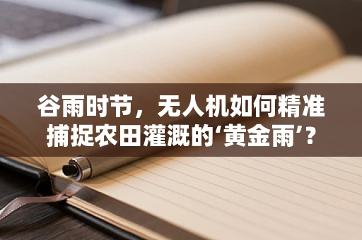 谷雨时节，无人机如何精准捕捉农田灌溉的‘黄金雨’？
