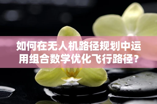 如何在无人机路径规划中运用组合数学优化飞行路径？