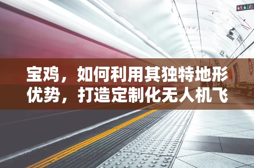 宝鸡，如何利用其独特地形优势，打造定制化无人机飞行测试区？
