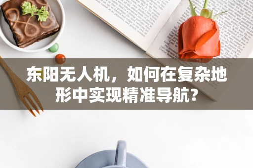 东阳无人机，如何在复杂地形中实现精准导航？