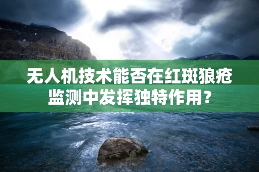 无人机技术能否在红斑狼疮监测中发挥独特作用？
