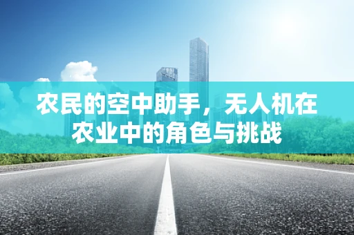 农民的空中助手，无人机在农业中的角色与挑战