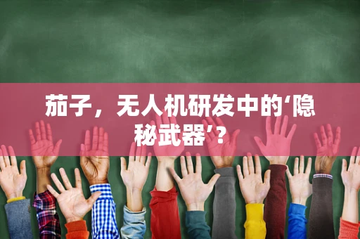 茄子，无人机研发中的‘隐秘武器’？
