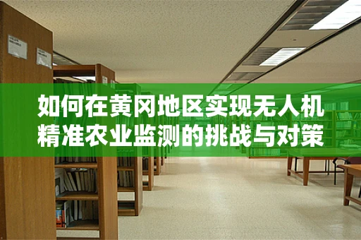 如何在黄冈地区实现无人机精准农业监测的挑战与对策？