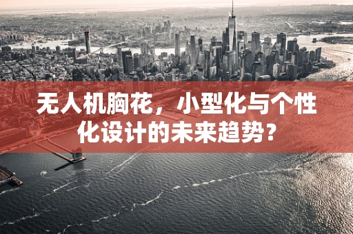 无人机胸花，小型化与个性化设计的未来趋势？