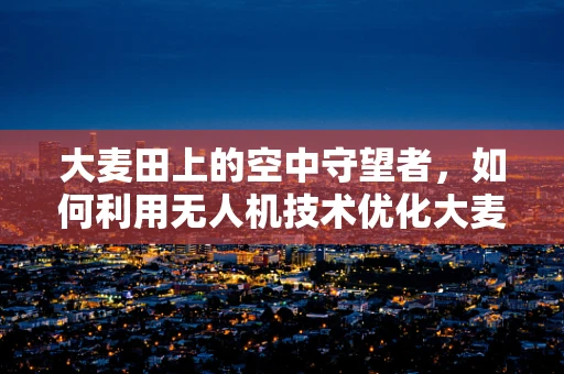 大麦田上的空中守望者，如何利用无人机技术优化大麦种植监测？