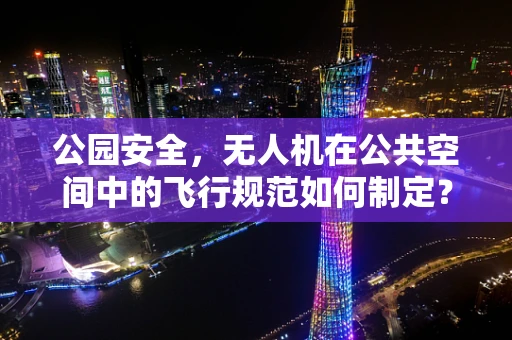 公园安全，无人机在公共空间中的飞行规范如何制定？