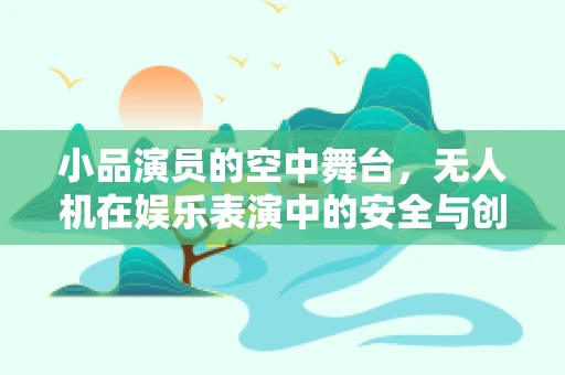 小品演员的空中舞台，无人机在娱乐表演中的安全与创意融合